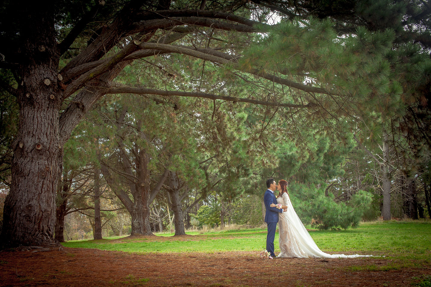 墨尔本婚纱摄影摄像，澳洲旅拍，墨尔本旅拍 ， 澳洲婚礼跟拍